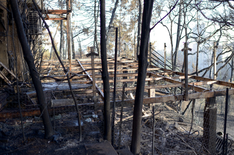 צילום: גילי יערי, פלאש 90 