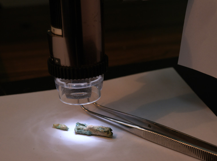 פתילת הפשתן שנמצא בשבטה. צילום: קלרה עמית, רשות העתיקות