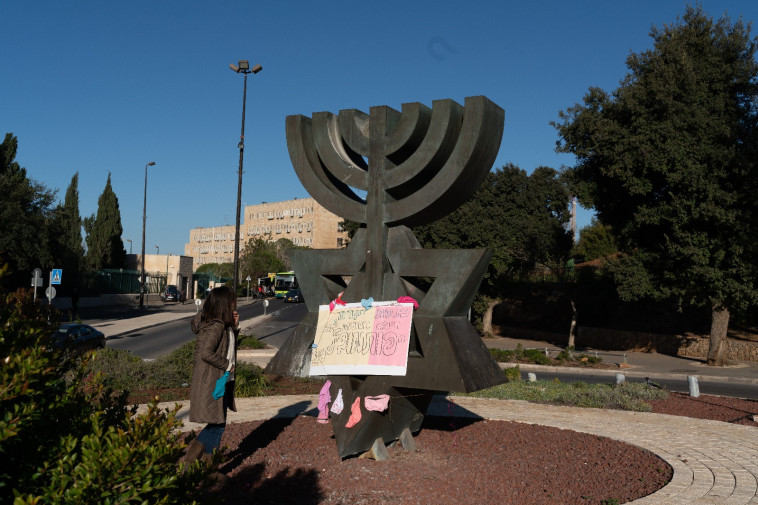 המחאה מול הכנסת. צילום: יהונתן אלפסי