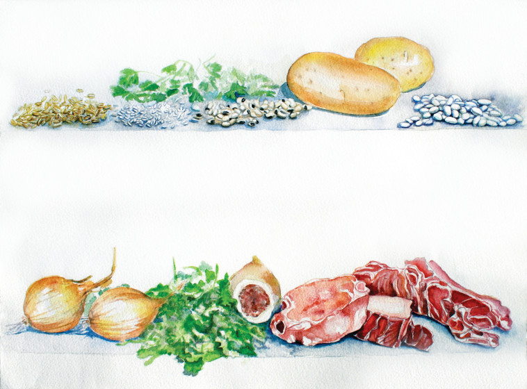 איור. צלם : נעמי ליס-מיברג 