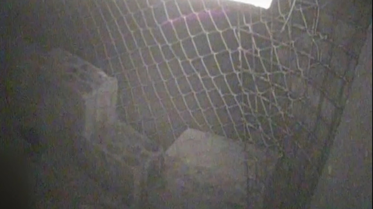 צילום: דו&quot;צ