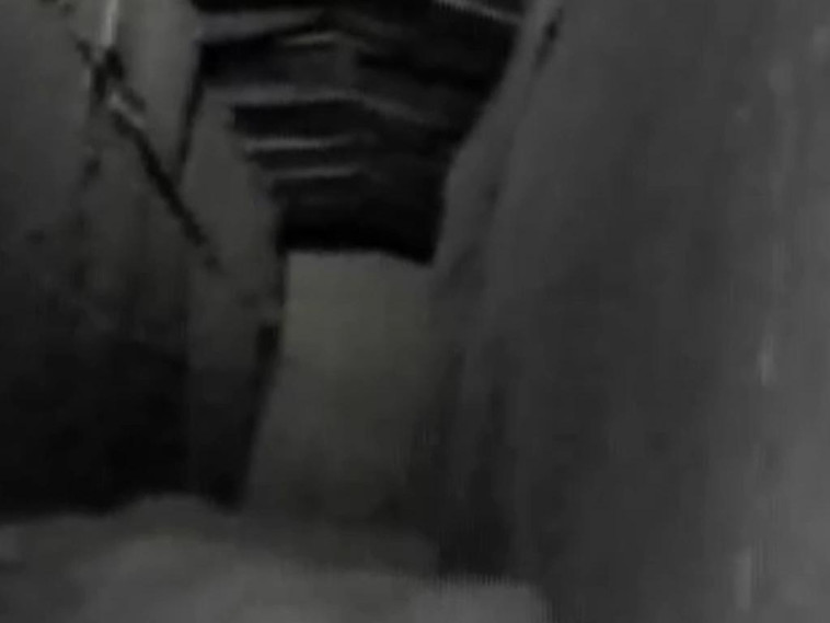 צילום: דו&quot;צ