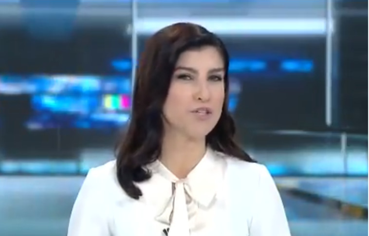 &quot;החלטה אמיצה ואצילית&quot;. אבן-סער, אתמול. צילום מסך כאן