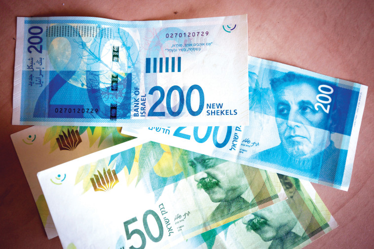 Cash Banknotes (Photo: Flash 90)