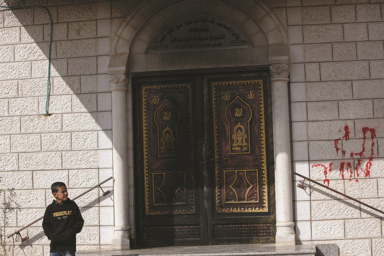 פעולת תג מחיר בשכם. העשבים מאיימים על הגינה כולה. צילום: נאסר אישתייך, פלאש 90 