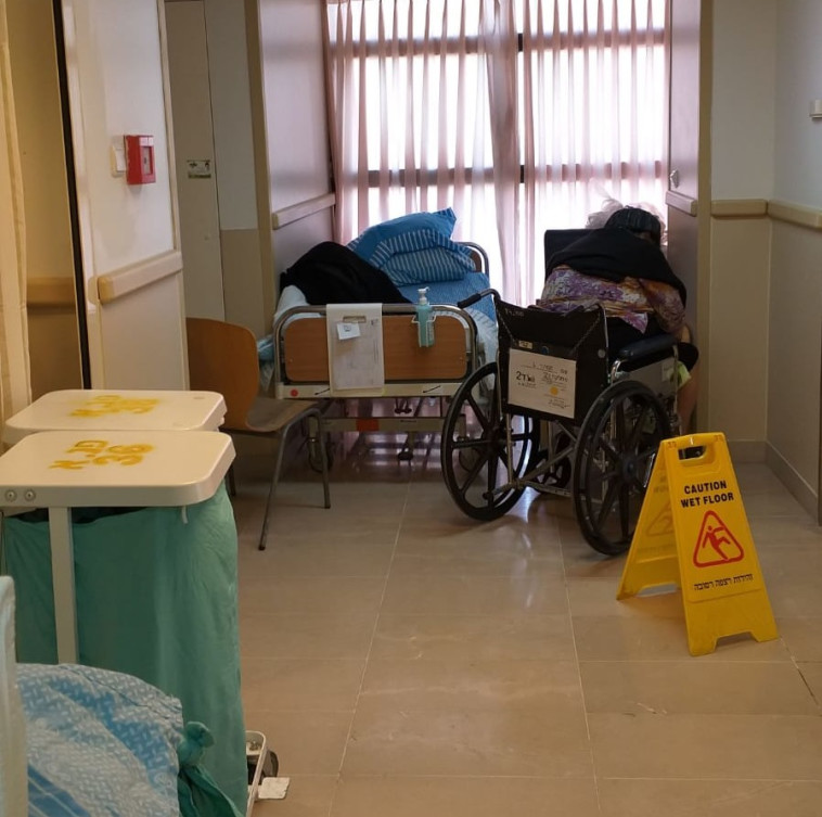 מחלקה פנימית בבית חולים. צילום: האיגוד לרפואה פנימית