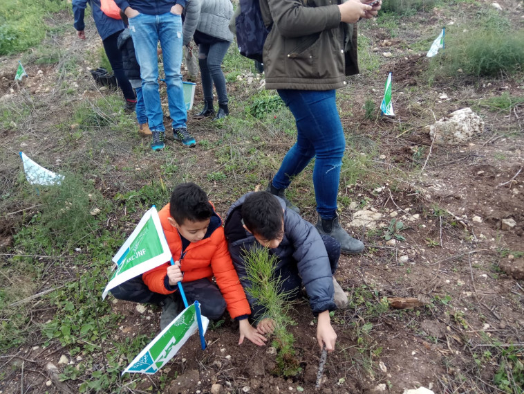 נטיעות ט&quot;ו בשבט. צילום: יערני ועובדי קק&quot;ל