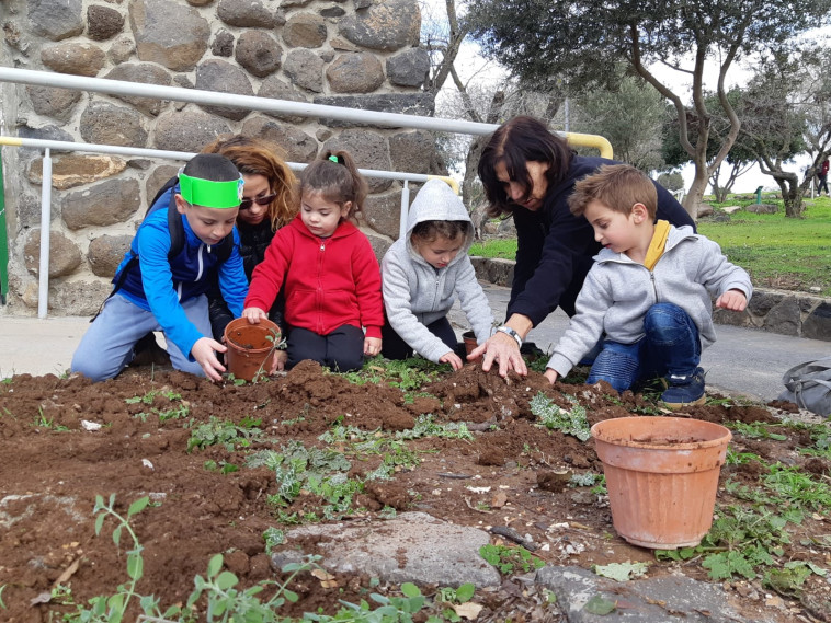 נטיעות ט&quot;ו בשבט. צילום: אבי דוד, רשות הטבע והגנים