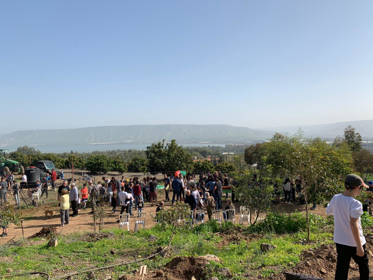 אירוע נטיעות בכנרת. צילום: גור מלמד