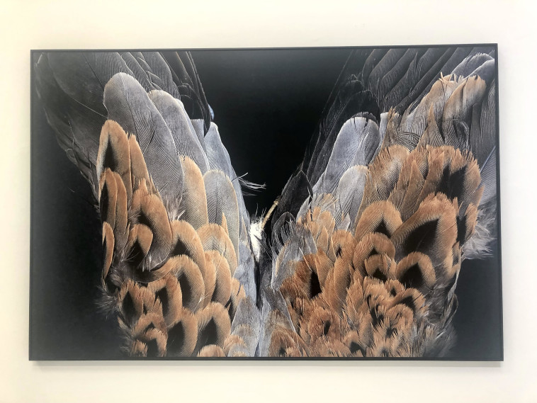 עבודה של יהודית שרייבר, יח&quot;צ