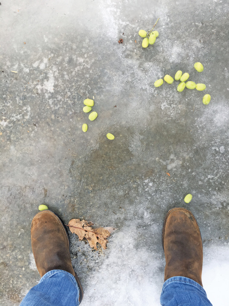 רגע לפני הנפילה הכואבת. רון מיברג 