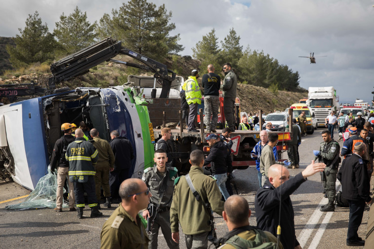 צילום: נועם רבקין פנטון, פלאש 90 