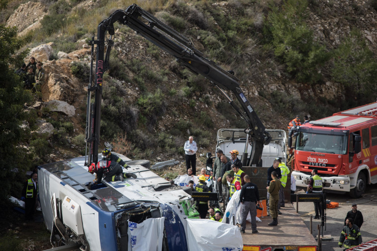 צילום: נועם רבקין פנטון, פלאש 90 