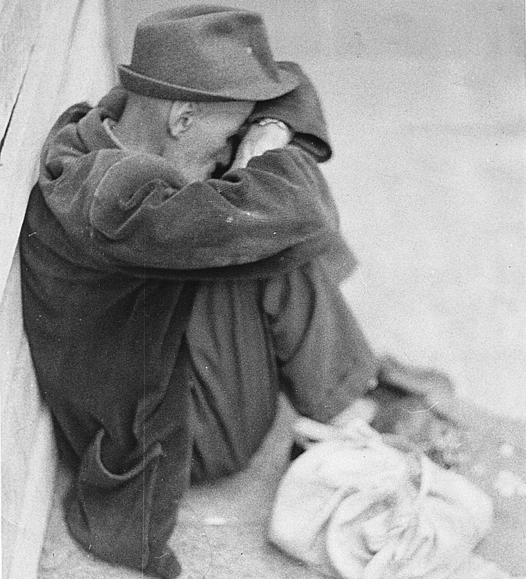 צילום: נתן זהבי