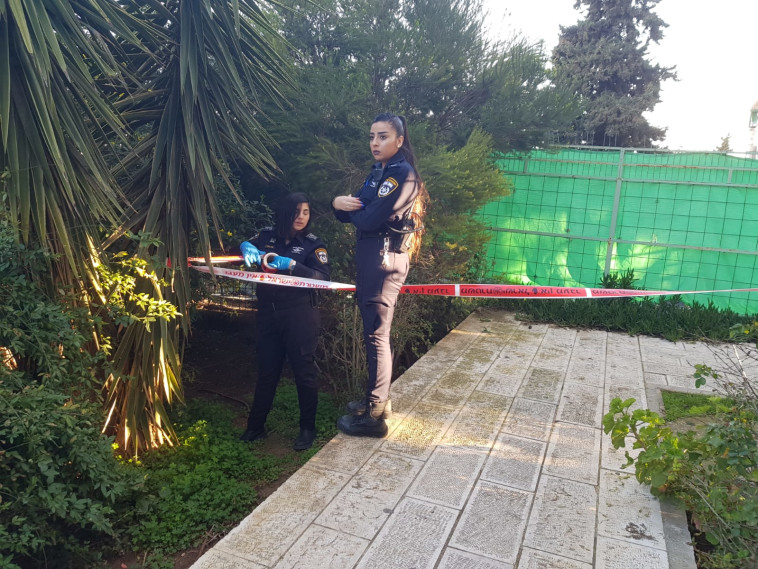 צילום: דוברות המשטרה