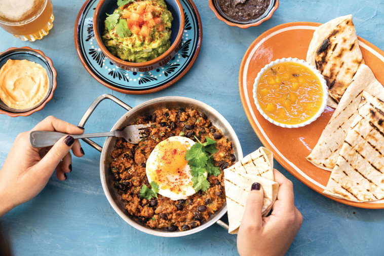 בנדיקט. צילום: שרית גופן