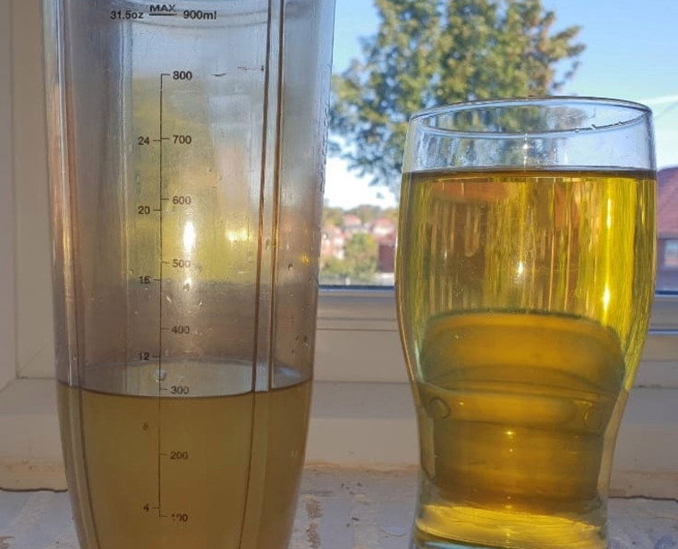 אין כמו שתן טרי על הבוקר. צילום מסך