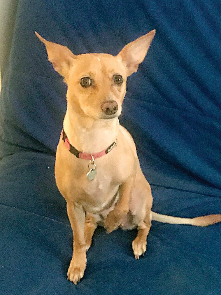 נינה. צילום פרטי