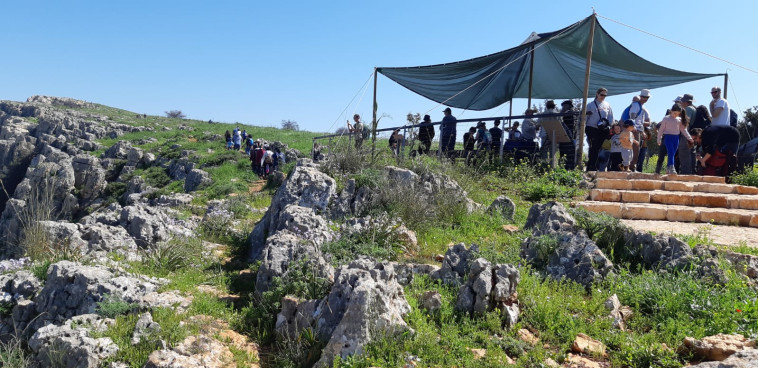 ארבל. צילום: שרית פאלאצי, רשות הטבע והגנים