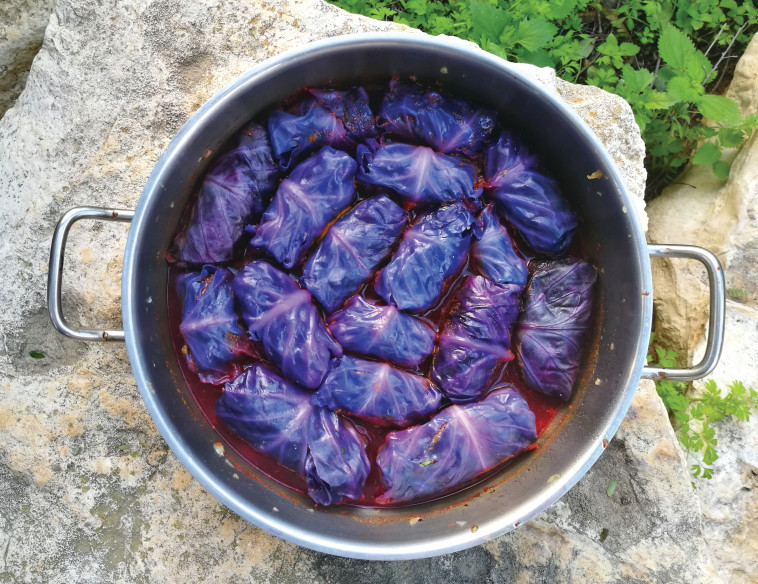 &quot;קוקלה&quot; עטופה בכרוב סגול.צילום:אודי ברקן/אושר אדלמן