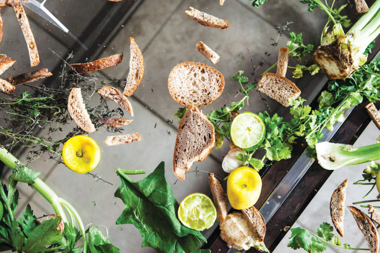 צילום: ענת פייזר