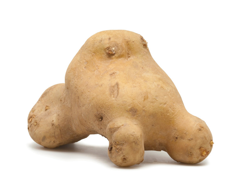 צילום: kreativagentur-LAUTHALS