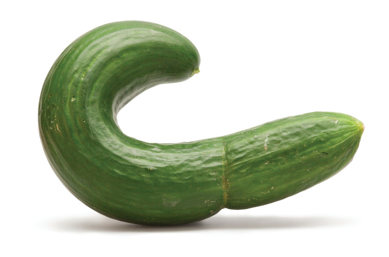 צילום: kreativagentur-LAUTHALS