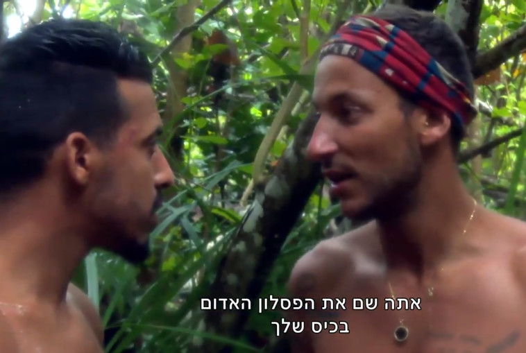 &quot;הישרדות&quot;. קשת 12 