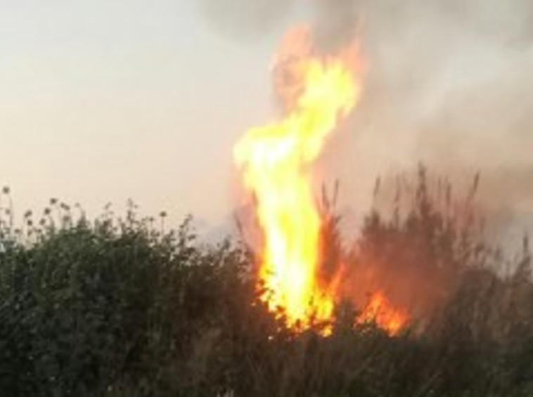 שריפה במועצה אזורית מרחבים כתוצאה מבלוני תבערה. צילום: מועצה אזורית מרחבים
