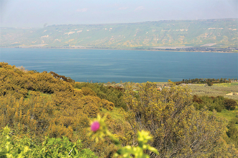 המועצה האזורית עמק הירדן. צלם : אריאל בשור 