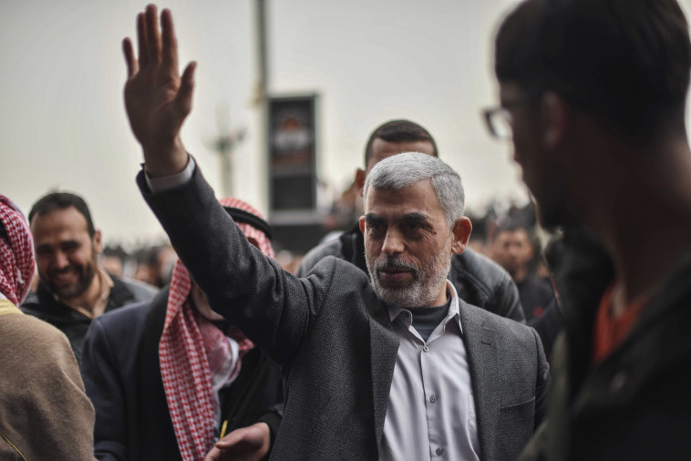 יחיא סינואר