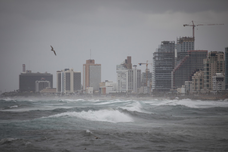 גשם בתל אביב, ארכיון. צילום: הדס פרוש, פלאש 90