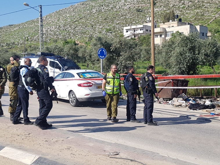 צילום: נדב גולדשטיין/TPS 