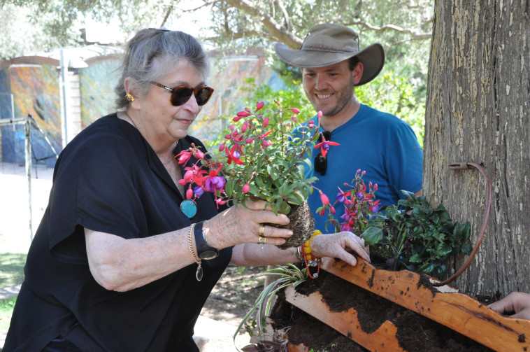 צילום: תומר רייכמן