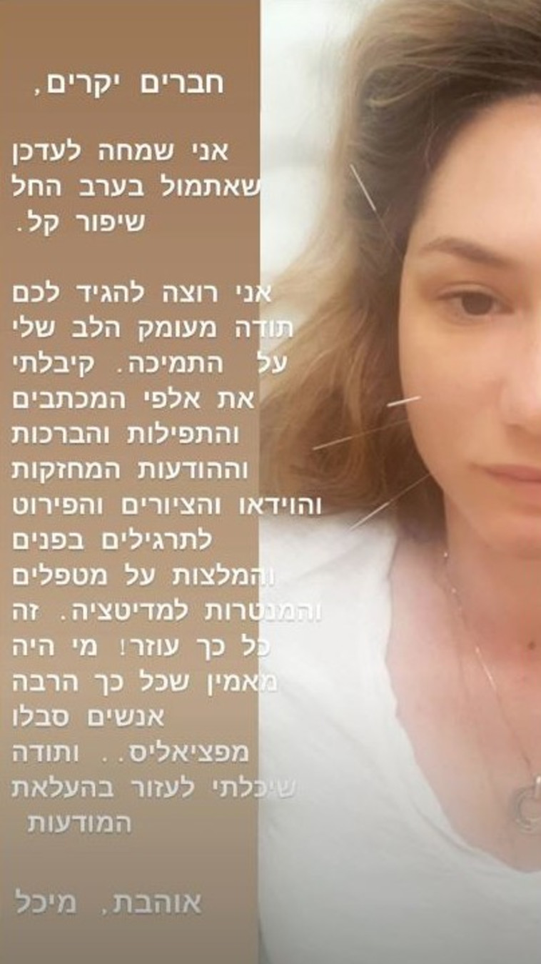 מיכל אנסקי. אינסטגרם
