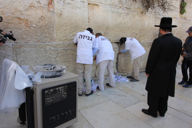 מוציאים את הפתקים מהכותל. צילום: הקרן למורשת הכותל המערבי