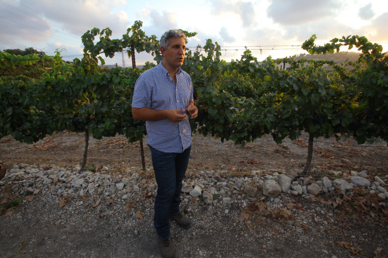 יפתח פרץ, יינן ראשי יקבי כרמל