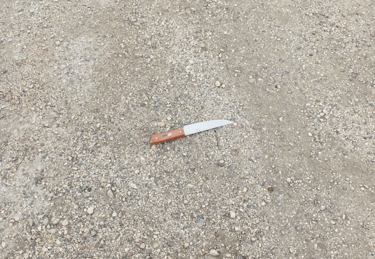 צילום: דוברות המשטרה