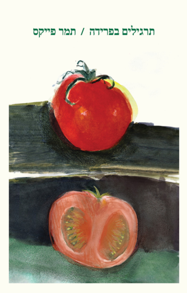 הספר &quot;תרגילים בפרידה&quot;. צילום: JPEG image