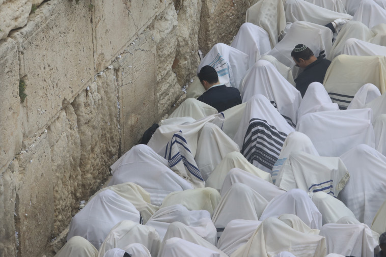 צילום: מרק ישראל סלם