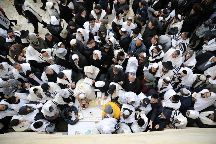 צילום: מרק ישראל סלם