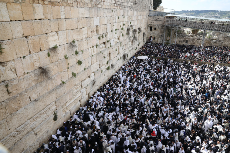 צילום: מרק ישראל סלם