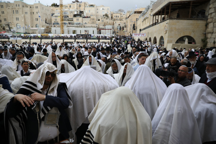 צילום: מרק ישראל סלם