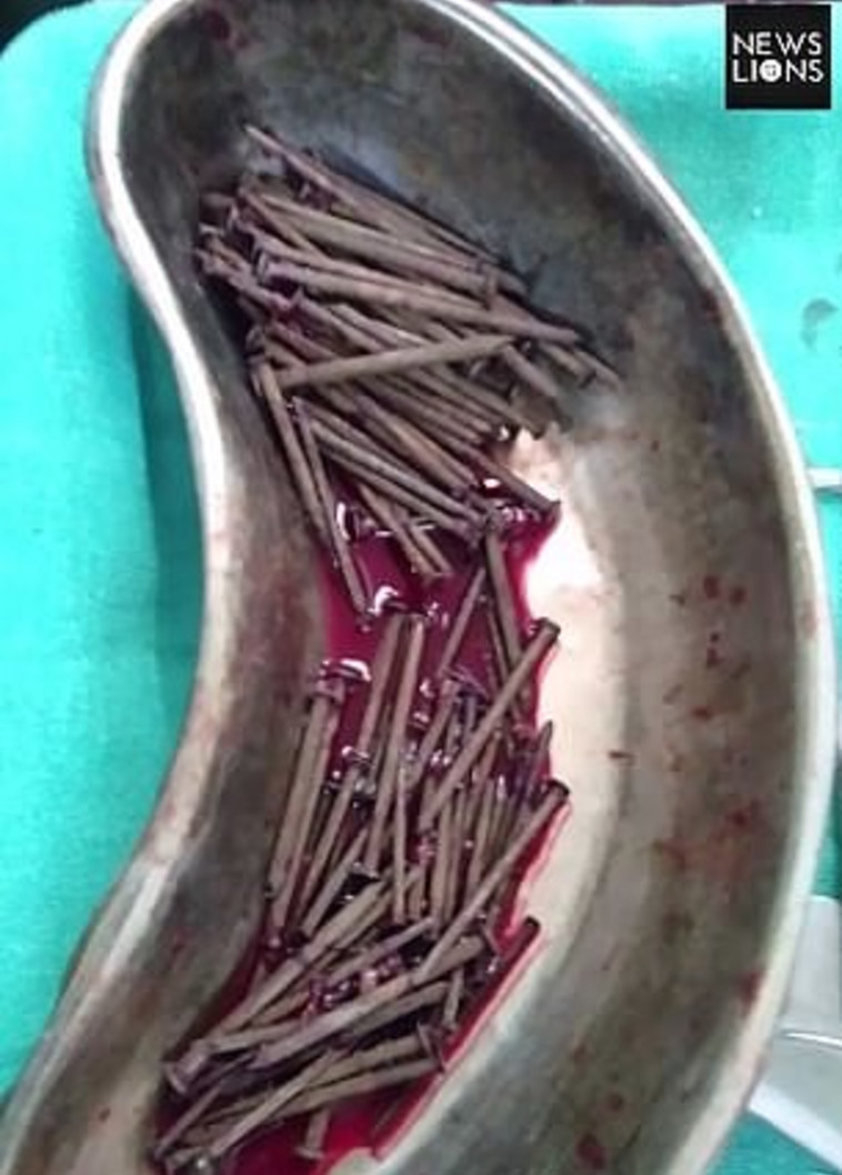 חלק מהמסרים שהוצאו מבטנו. צילום: כלי התקשורת המקומיים