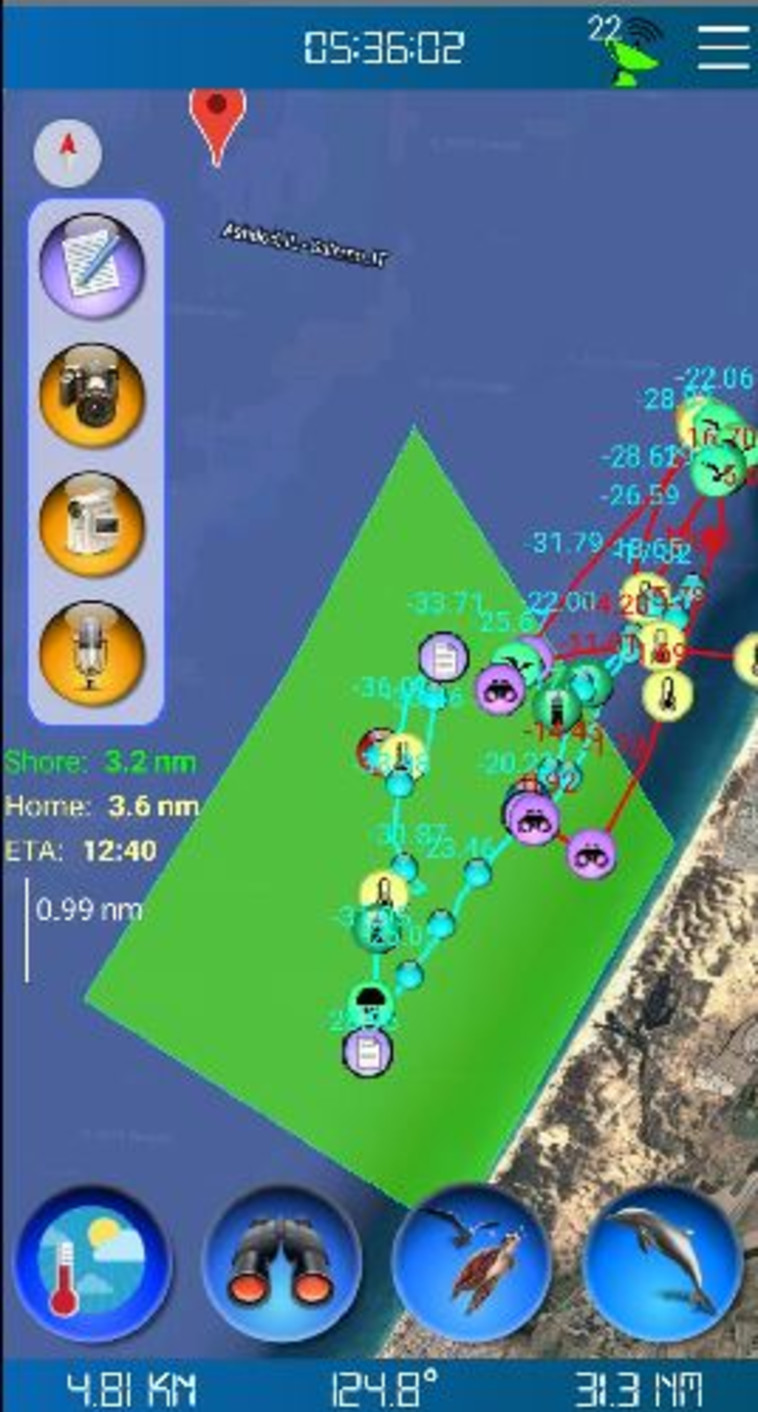 ריכוזי דולפינים מול חופי ישראל. צילום: מחמל&quot;י