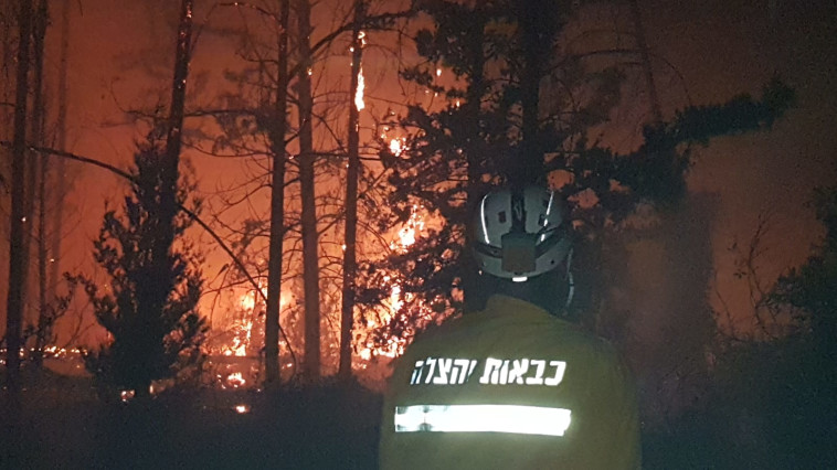 גל השריפות. צילום: דוברות כבאות והצלה