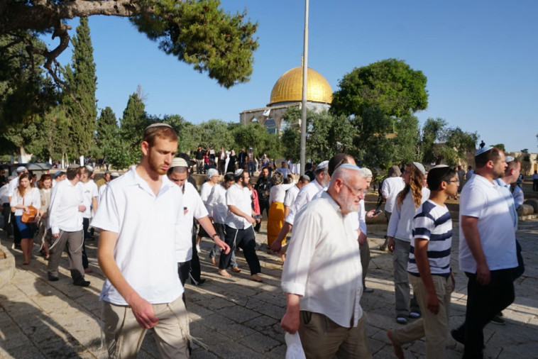 עליית יהודים להר הבית. צילום: חיים קרויזר, מטה ארגוני המקדש 