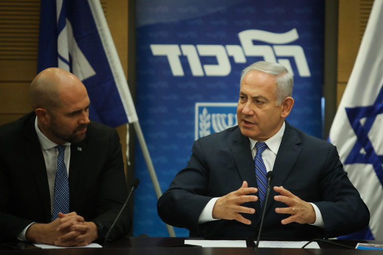 צילום: הדס פרוש, פלאש 90