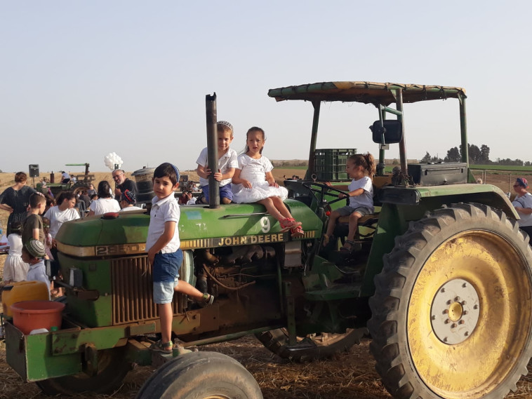  חגיגת ביכורים בשדות קיבוץ סעד בעוטף עזה. צילום: קיבוץ סעד 