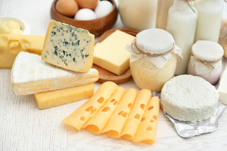 מומלץ לשלב מנות חלביות על בסיס גבינות (צילום: Shutterstock)
